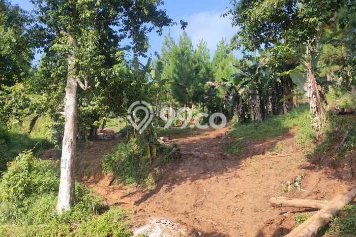 Tanah Kavling untuk Dijual di Cianjur Cianjur 72730m2 Tanah Kavling untuk Dijual di Cianjur Cianjur 72730m2