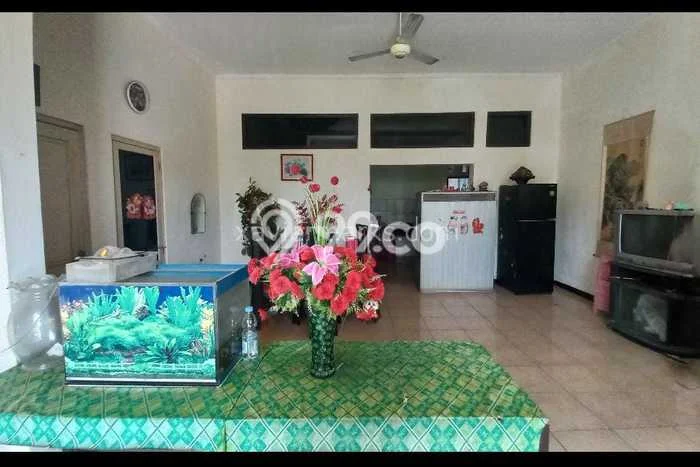 Disewakan Kantor Bisnis di Semarang Barat Semarang Harga Sewa Menarik Bisa Nego Disewakan Kantor Bisnis di Semarang Barat Semarang Harga Sewa Menarik Bisa Nego