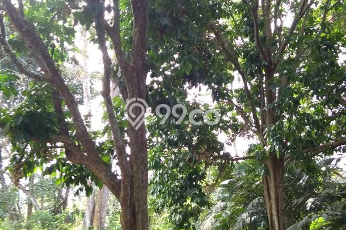 Tanah Komersial Dijual di Pangkalan Baru Bangka Tengah 1087m2 Tanah Komersial Dijual di Pangkalan Baru Bangka Tengah 1087m2