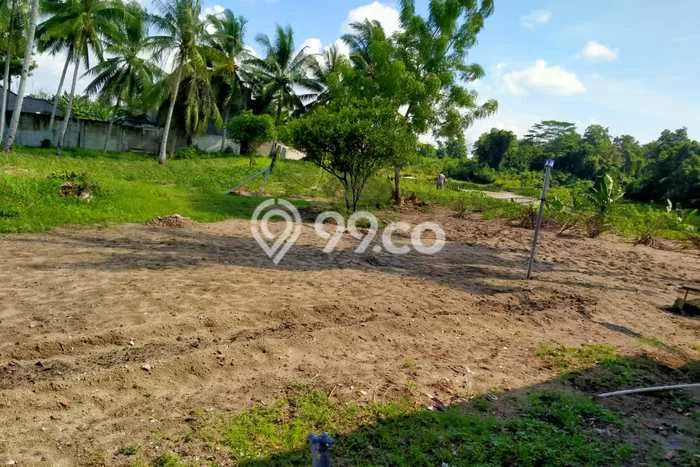 Dijual Tanah di Pangkalan Baru Bangka Tengah Luas 3629m2 SHM Dijual Tanah di Pangkalan Baru Bangka Tengah Luas 3629m2 SHM