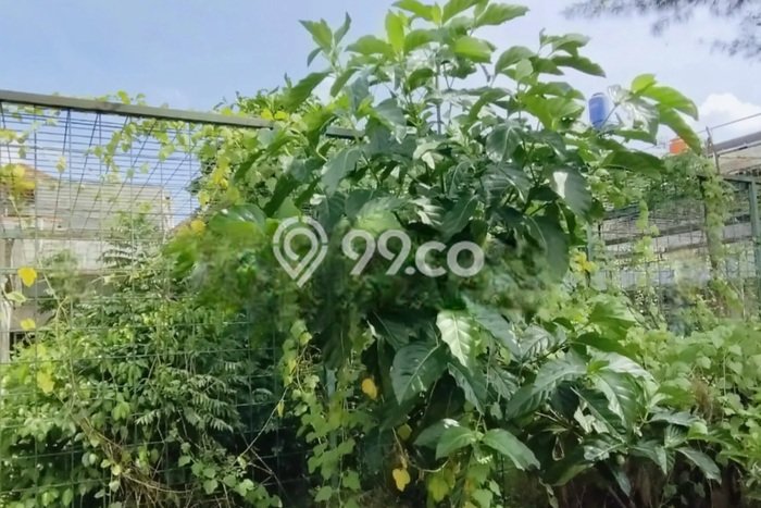 Hunian Eksklusif Siap Huni LT 250m2 di Kebon Jeruk, Jakarta Barat Hunian Eksklusif Siap Huni LT 250m2 di Kebon Jeruk, Jakarta Barat