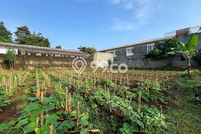 Tanah Dijual Lokasi Bogor Barat, Bogor Luas 2000m2 Legalitas Aman Tanah Dijual Lokasi Bogor Barat, Bogor Luas 2000m2 Legalitas Aman