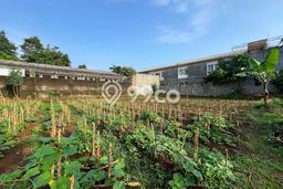 Tanah Dijual Lokasi Bogor Barat, Bogor Luas 2000m2 Legalitas Aman Tanah Dijual Lokasi Bogor Barat, Bogor Luas 2000m2 Legalitas Aman