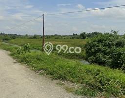 Jarang Ada! Tanah di Cikupa Punya Luas 27000m2 SHM Jarang Ada! Tanah di Cikupa Punya Luas 27000m2 SHM