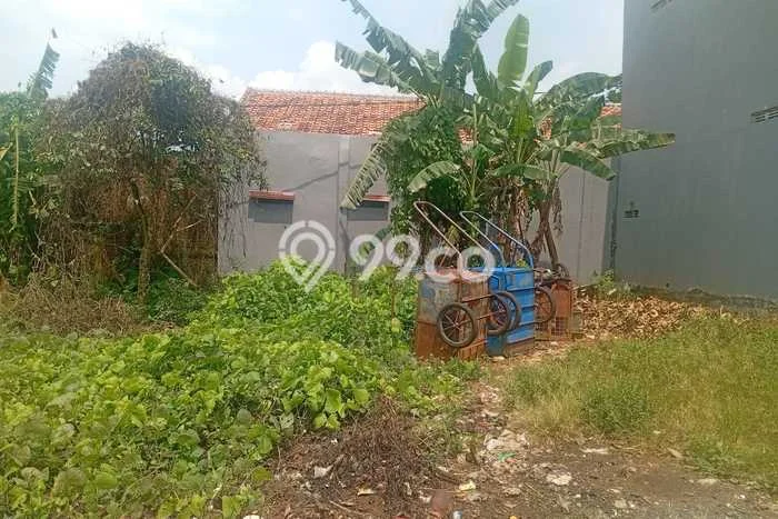 Kavling Tanah di Cibinong Dijual Luas 100m2 Legalitas SHM Kavling Tanah di Cibinong Dijual Luas 100m2 Legalitas SHM