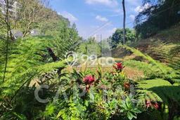 HARGA MENARIK! Tanah Kawasan Coblong, Luas 438m2m², Kawasan Potensial, Bebas Longsor HARGA MENARIK! Tanah Kawasan Coblong, Luas 438m2m², Kawasan Potensial, Bebas Longsor