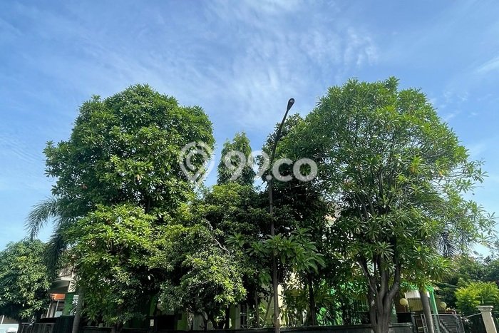 Disewakan! Rumah 5 Kamar Tidur &
3 Kamar Mandi di Cibubur, Jakarta Timur Disewakan! Rumah 5 Kamar Tidur &
3 Kamar Mandi di Cibubur, Jakarta Timur