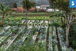 Tanah Kavling Dijual di Bandung dengan Spesifikasi 1240m2 Tanah Kavling Dijual di Bandung dengan Spesifikasi 1240m2