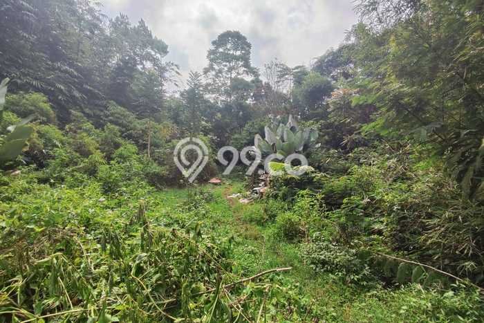 Tanah Dijual Lokasi Lembang, Bandung Barat Luas 25687m2 Legalitas Aman Tanah Dijual Lokasi Lembang, Bandung Barat Luas 25687m2 Legalitas Aman