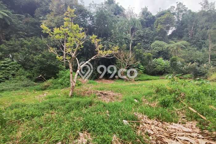 Tanah Dijual Lokasi Lembang, Bandung Barat Luas 25687m2 Legalitas Aman Tanah Dijual Lokasi Lembang, Bandung Barat Luas 25687m2 Legalitas Aman