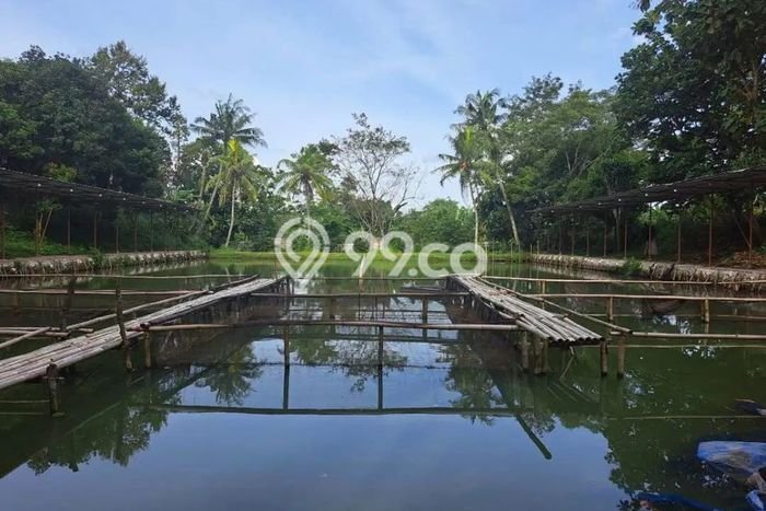 Tanah Kawasan Setu, Luas 7374m², Jalur Strategis Tanah Kawasan Setu, Luas 7374m², Jalur Strategis