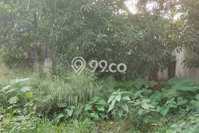 Tanah Kavling Dijual di Lebak Bulus, Jakarta Selatan dengan Luas Tanah 200m2 Tanah Kavling Dijual di Lebak Bulus, Jakarta Selatan dengan Luas Tanah 200m2