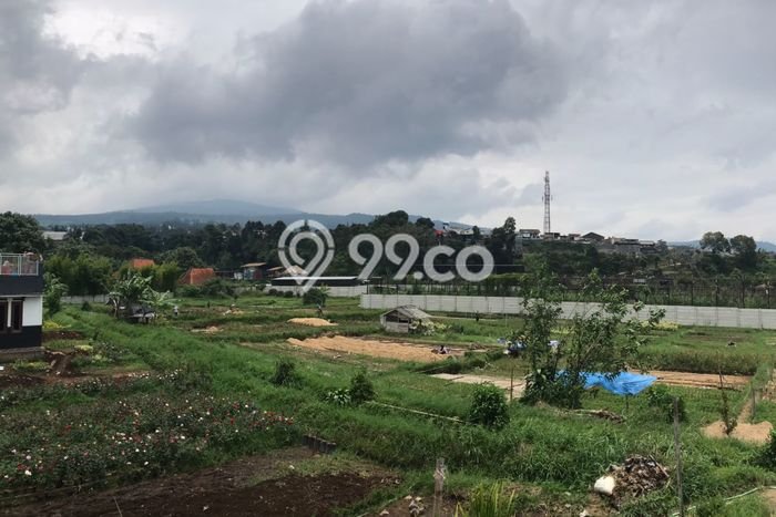Tanah di Parongpong, Luas 1739m², Akses Mudah, Area Berkembang Tanah di Parongpong, Luas 1739m², Akses Mudah, Area Berkembang