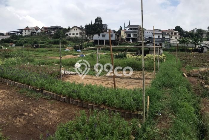 Tanah di Parongpong, Luas 1739m², Akses Mudah, Area Berkembang Tanah di Parongpong, Luas 1739m², Akses Mudah, Area Berkembang