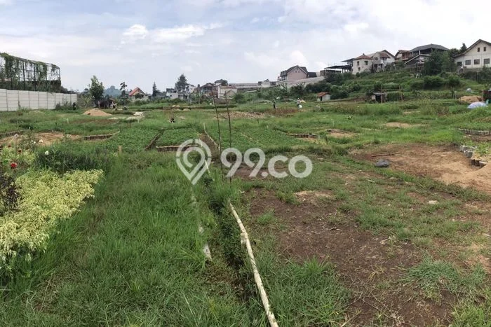 Tanah di Parongpong, Bandung Barat Luas 1739m2 Dijual Segera Tanah di Parongpong, Bandung Barat Luas 1739m2 Dijual Segera