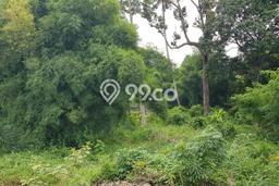 Tanah Kavling Dijual di Depok dengan Spesifikasi 31000m2 Tanah Kavling Dijual di Depok dengan Spesifikasi 31000m2