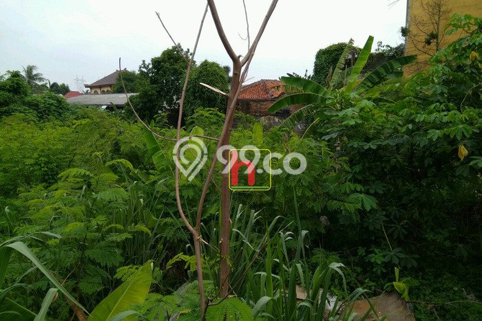Dijual Tanah di Curug Tangerang Luas 2000m2 SHM Dijual Tanah di Curug Tangerang Luas 2000m2 SHM