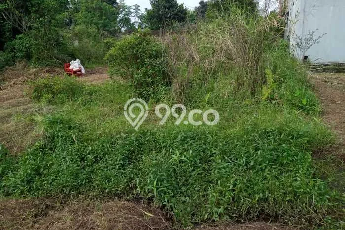 Tanah Kavling di Ciomas Dijual dengan Luas 300m2 Tanah Kavling di Ciomas Dijual dengan Luas 300m2