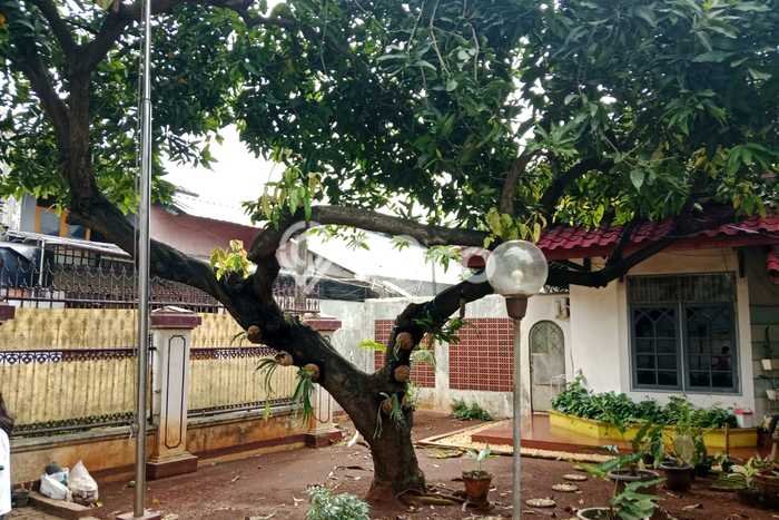 Kemang Sari Kemang Sari