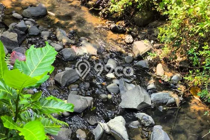 Dijual Tanah 84m2 di Sentul City, Bogor Dijual Tanah 84m2 di Sentul City, Bogor