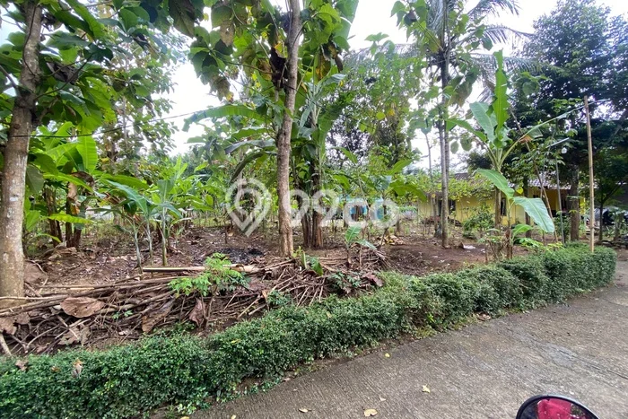 Dijual Tanah di Kulon Progo, Luas 378m2 SHM Dijual Tanah di Kulon Progo, Luas 378m2 SHM