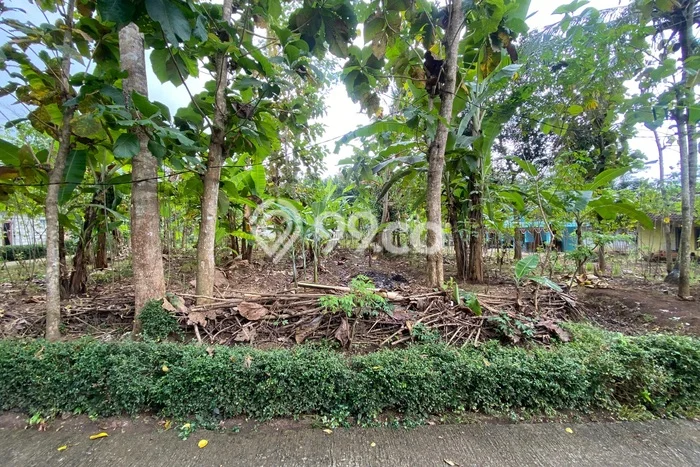 Dijual Tanah di Kulon Progo, Luas 378m2 SHM Dijual Tanah di Kulon Progo, Luas 378m2 SHM
