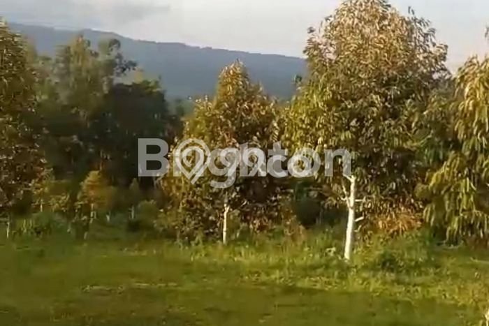 Tanah Kavling untuk Dijual di Salaman Magelang 19975m2 Tanah Kavling untuk Dijual di Salaman Magelang 19975m2