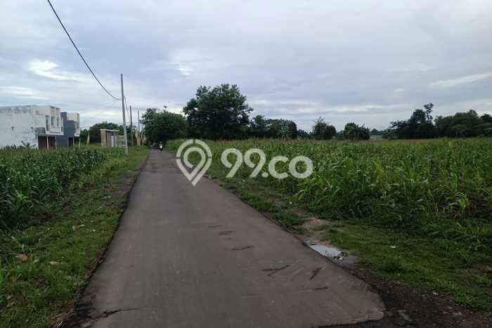 Kavling Tanah Dijual di Serang Serang Spesifikasi 300000m2 Kavling Tanah Dijual di Serang Serang Spesifikasi 300000m2