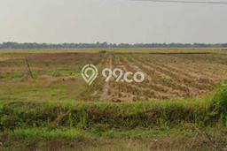 Tanah Dijual Lokasi Jatitujuh, Majalengka dengan Luas Tanah 46000m2 dan Status - Tanah Dijual Lokasi Jatitujuh, Majalengka dengan Luas Tanah 46000m2 dan Status -
