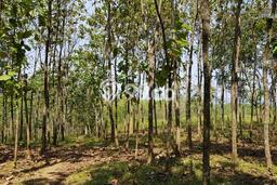Kavling Tanah di Cibogo Dijual Luas 1.5e+06m2 Legalitas - Kavling Tanah di Cibogo Dijual Luas 1.5e+06m2 Legalitas -