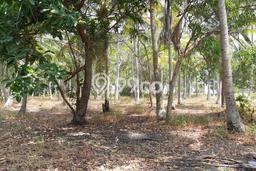 Lahan Dijual Lokasi Strategis di Kepulauan Seribu dengan Luas 20000m2 Lahan Dijual Lokasi Strategis di Kepulauan Seribu dengan Luas 20000m2