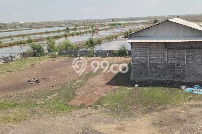 Jarang Ada! Tanah di Indramayu Punya Luas 31114m2 SHM Jarang Ada! Tanah di Indramayu Punya Luas 31114m2 SHM