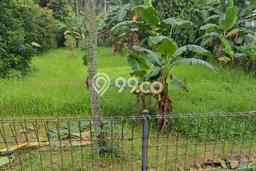 Tanah Kavling Dijual di Bogor dengan Spesifikasi 4232m2 Tanah Kavling Dijual di Bogor dengan Spesifikasi 4232m2