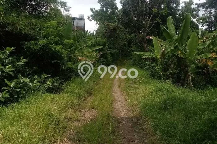 Tanah Dijual Area Strategis di Sentul Bogor 51000m2 Tanah Dijual Area Strategis di Sentul Bogor 51000m2