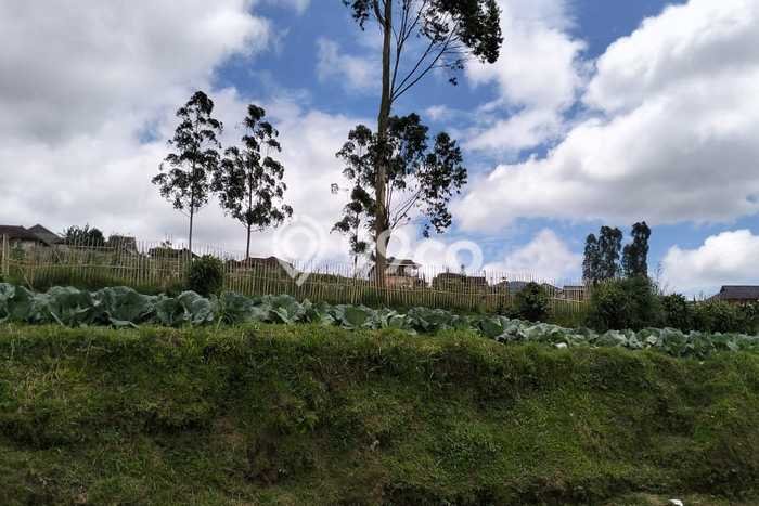 Jarang Ada! Tanah di Pangalengan Punya Luas 1800m2 SHM Jarang Ada! Tanah di Pangalengan Punya Luas 1800m2 SHM