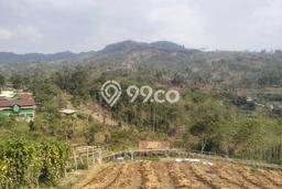 Dijual Tanah di Ciwidey Bandung Luas 2273m2 - Dijual Tanah di Ciwidey Bandung Luas 2273m2 -