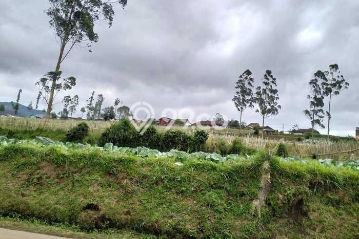 Jarang Ada! Tanah di Pangalengan Punya Luas 1800m2 SHM Jarang Ada! Tanah di Pangalengan Punya Luas 1800m2 SHM