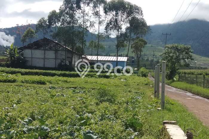 Lahan Strategis di Pangalengan Dijual dengan Luas 2800m2 Lahan Strategis di Pangalengan Dijual dengan Luas 2800m2