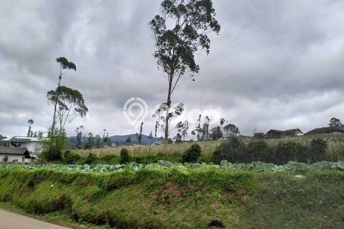 Jarang Ada! Tanah di Pangalengan Punya Luas 1800m2 SHM Jarang Ada! Tanah di Pangalengan Punya Luas 1800m2 SHM