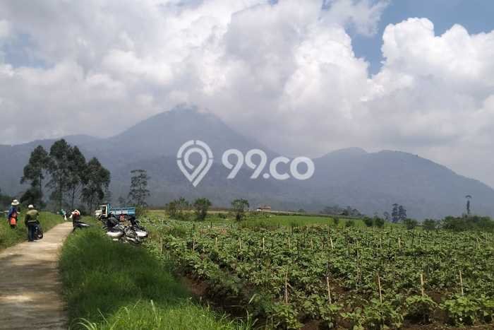 Kavling Tanah Dijual di Pangalengan, Bandung, Luas 2800m2 Area Strategis Kavling Tanah Dijual di Pangalengan, Bandung, Luas 2800m2 Area Strategis