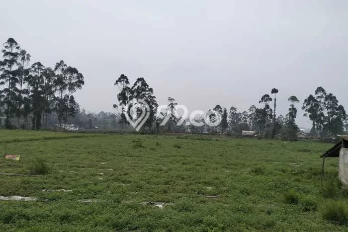 Tanah untuk Dijual Lokasi Pangalengan, Bandung Luas 35000m2 SHM Tanah untuk Dijual Lokasi Pangalengan, Bandung Luas 35000m2 SHM
