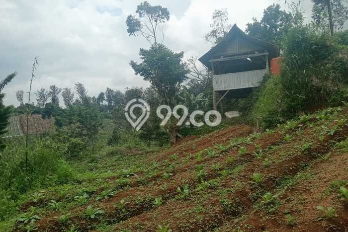 Lahan untuk Dijual di Ciwidey Bandung Luas 2800m2 Lahan untuk Dijual di Ciwidey Bandung Luas 2800m2