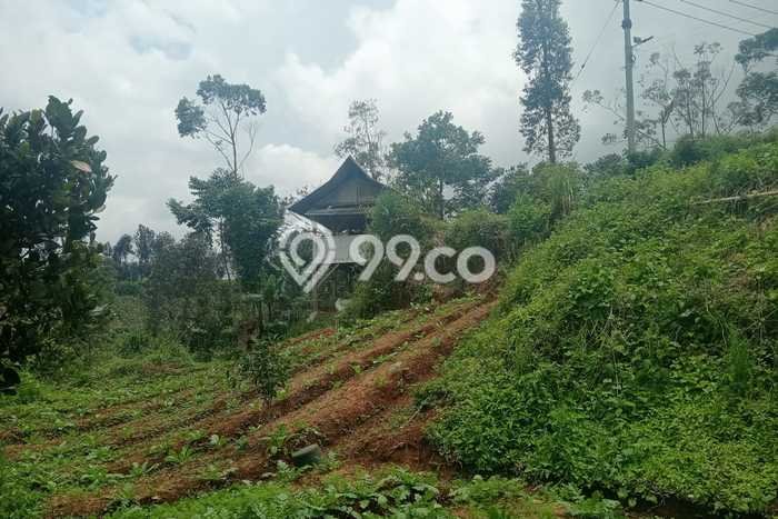 Kavling Tanah di Ciwidey Dijual Luas 2800m2 Legalitas AJB Kavling Tanah di Ciwidey Dijual Luas 2800m2 Legalitas AJB