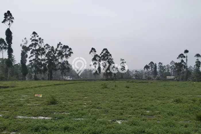 Tanah untuk Dijual Lokasi Pangalengan, Bandung Luas 35000m2 SHM Tanah untuk Dijual Lokasi Pangalengan, Bandung Luas 35000m2 SHM