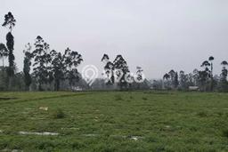 Tanah untuk Dijual Lokasi Pangalengan, Bandung Luas 35000m2 SHM Tanah untuk Dijual Lokasi Pangalengan, Bandung Luas 35000m2 SHM