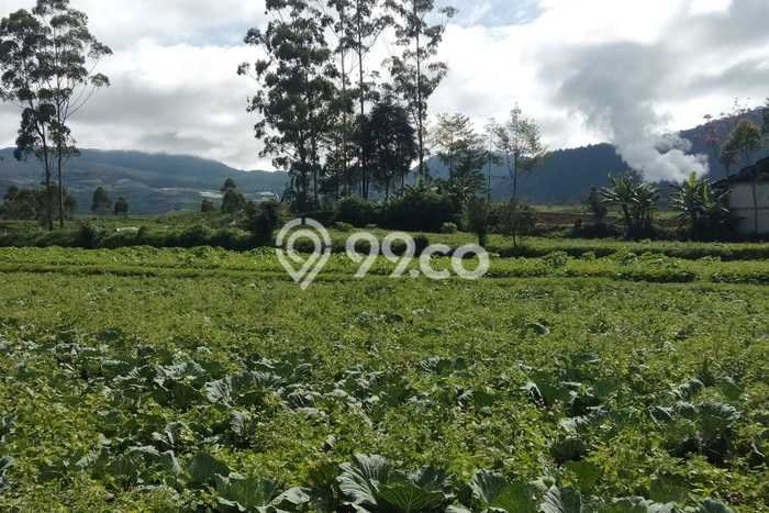 Lahan Strategis di Pangalengan Dijual dengan Luas 2800m2 Lahan Strategis di Pangalengan Dijual dengan Luas 2800m2