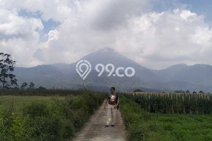 Kavling Tanah Dijual di Pangalengan, Bandung, Luas 2800m2 Area Strategis Kavling Tanah Dijual di Pangalengan, Bandung, Luas 2800m2 Area Strategis