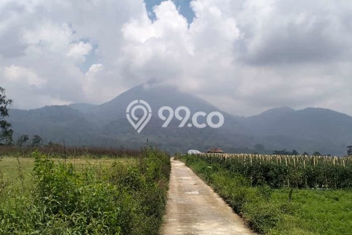 Kavling Tanah Dijual di Pangalengan, Bandung, Luas 2800m2 Area Strategis Kavling Tanah Dijual di Pangalengan, Bandung, Luas 2800m2 Area Strategis