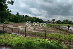 Dijual Tanah Lokasi Teluk Naga, Tangerang Seluas 2050m2 Dijual Tanah Lokasi Teluk Naga, Tangerang Seluas 2050m2