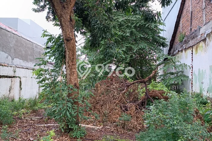 Tanah di Kramat, Luas 295m², Area Potensial, Lingkungan Asri Tanah di Kramat, Luas 295m², Area Potensial, Lingkungan Asri